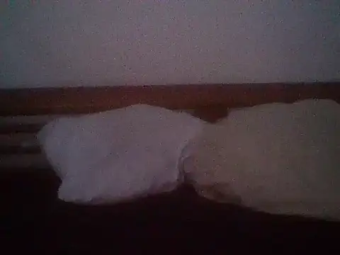 snoppie webcam