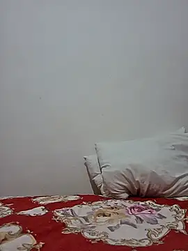 altinya webcam