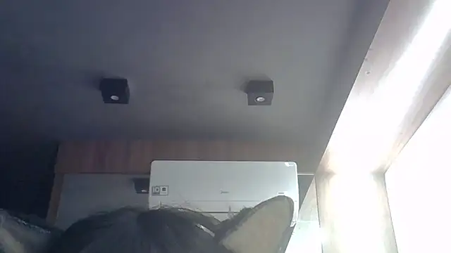 SkinnyKitten webcam
