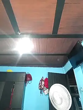 Aidafoxvibes2026 webcam