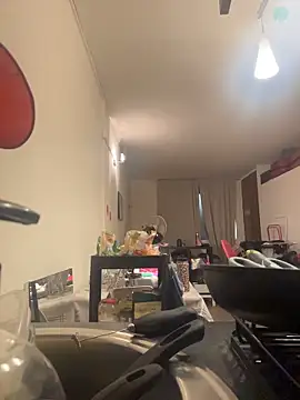 ladyturtle webcam