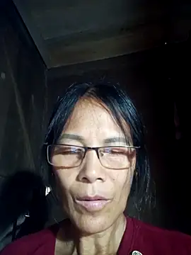 toyo_668 webcam