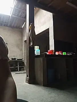 Hiniyk2 webcam