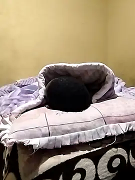 Breezyvikky webcam