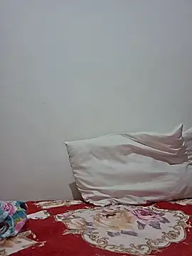 altinya webcam