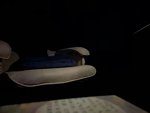 translove webcam