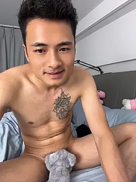 AAA-888 webcam