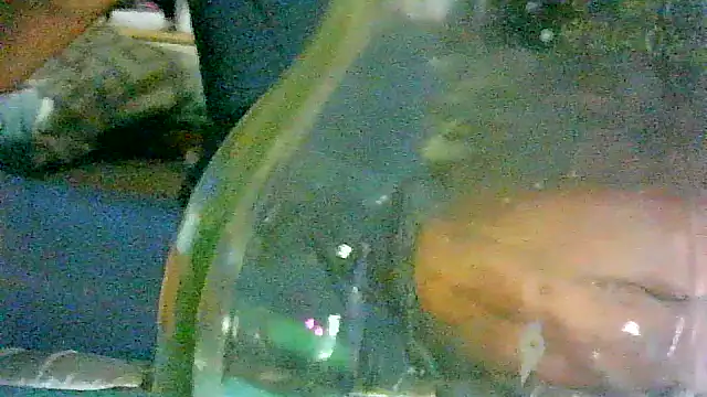 _P3RKY_IMMORTAL3_FIR3_ webcam
