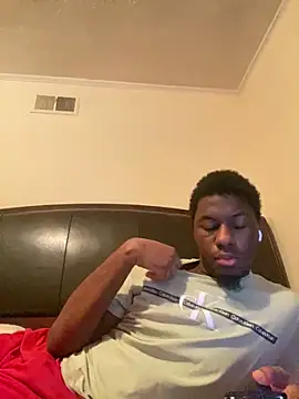 ThickDic28 webcam