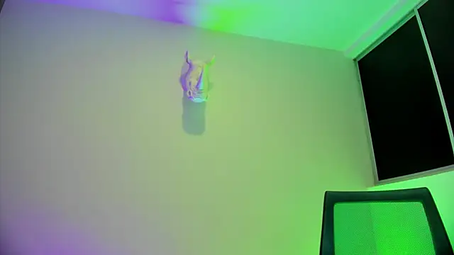 Dagoti webcam