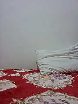 altinya webcam