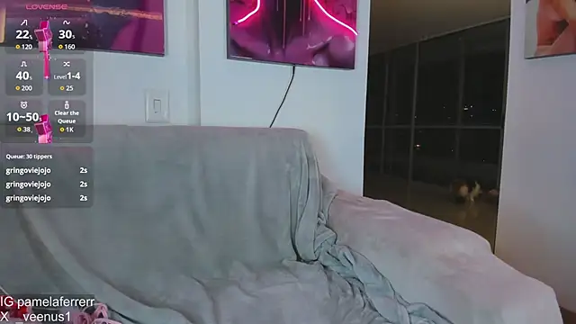 _veenus webcam