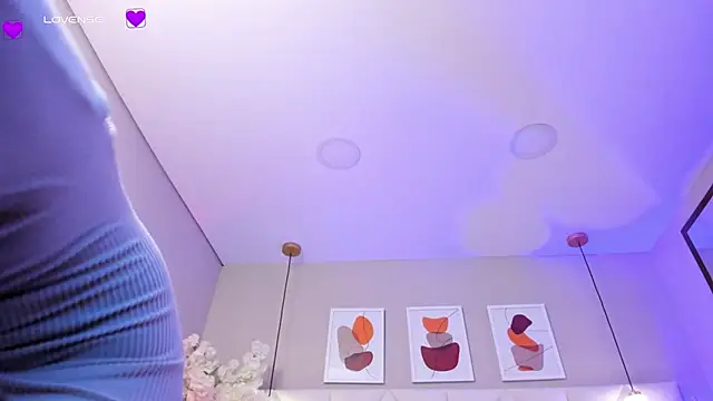 Luna_vans webcam