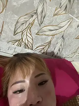 bingbo123 webcam