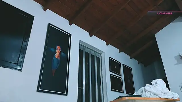 SilvaBranko webcam