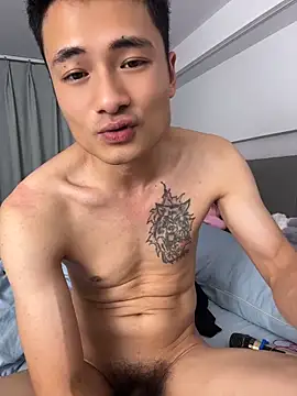 AAA-888 webcam