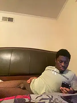 ThickDic28 webcam