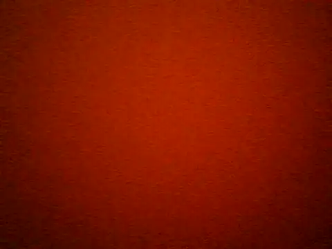 berry_machine webcam