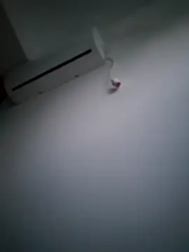 Amelia9798 webcam