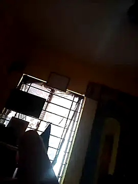 BusyMitt17 webcam