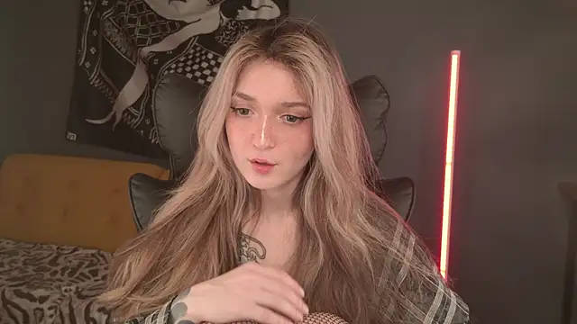 BellaSink webcam