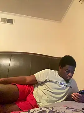 ThickDic28 webcam