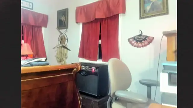 FelixChirp webcam