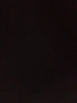 lion_pon webcam