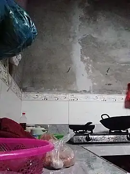 Sgs594802799 webcam