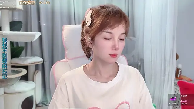 hi-AnAn webcam