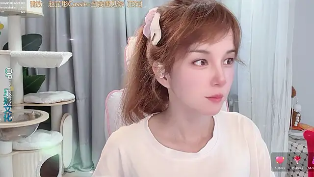 hi-AnAn webcam