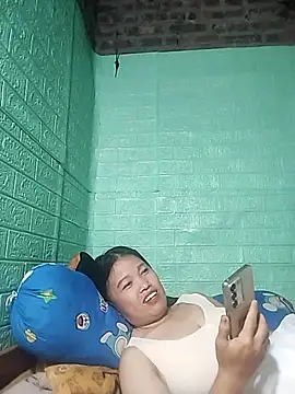 opna43 webcam