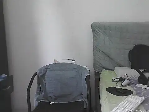 IronSideBear webcam