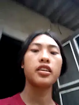Hoa-tuylip webcam