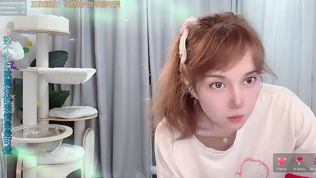 hi-AnAn webcam