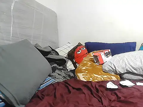 GordoChancludoSLP webcam