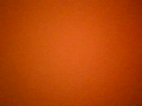 berry_machine webcam