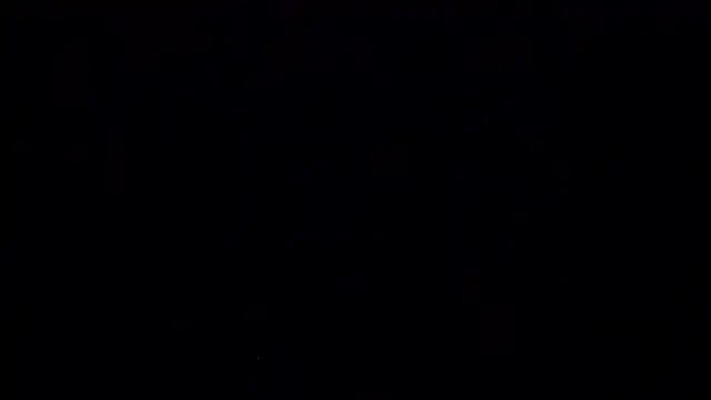 Adelewildx webcam