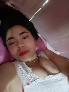 Nul_chal webcam