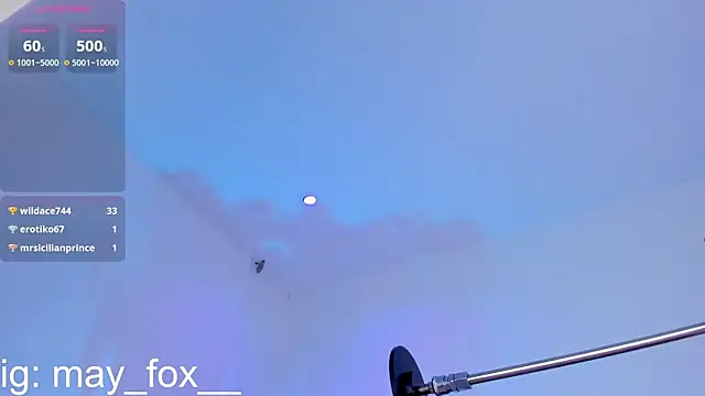 May_Fox_ webcam