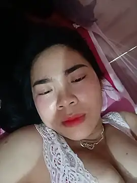 Nul_chal webcam