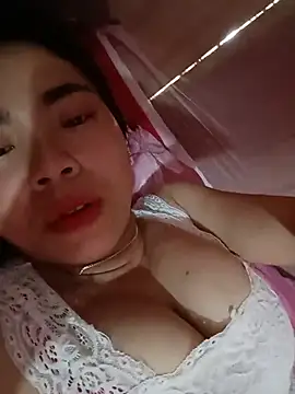 Nul_chal webcam