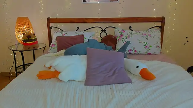 miya_soft webcam