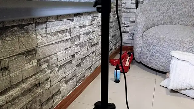 pandoravg webcam