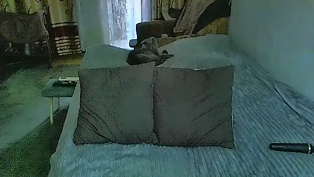 sex2 webcam