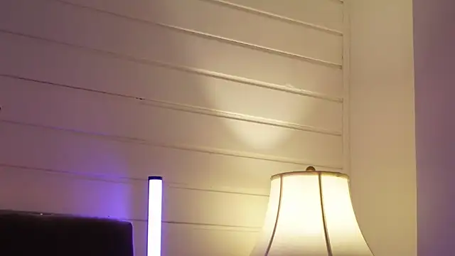 SophysSecret webcam