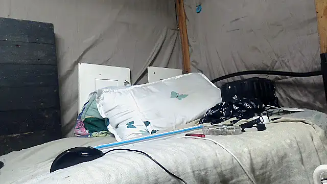 Camodick webcam