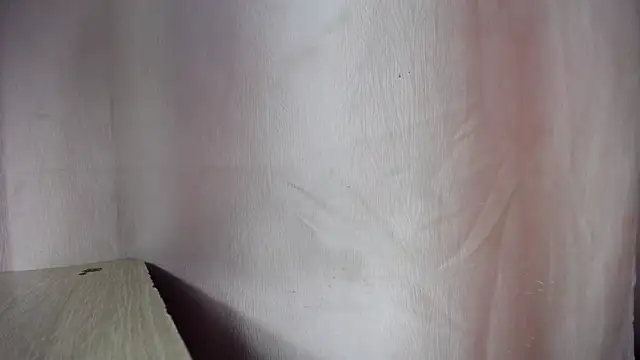 Yei_lee_ webcam