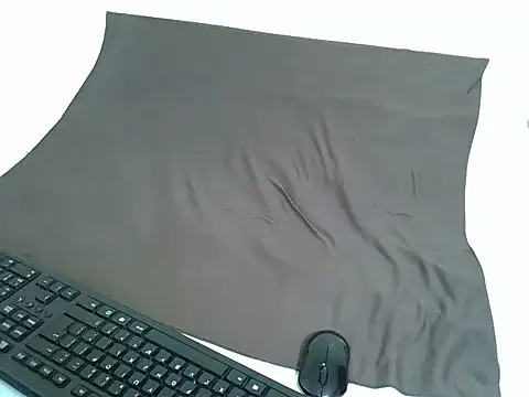 drowllie webcam