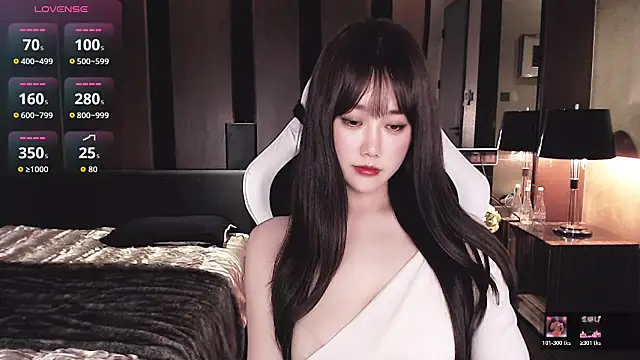 Aurora_-77 webcam